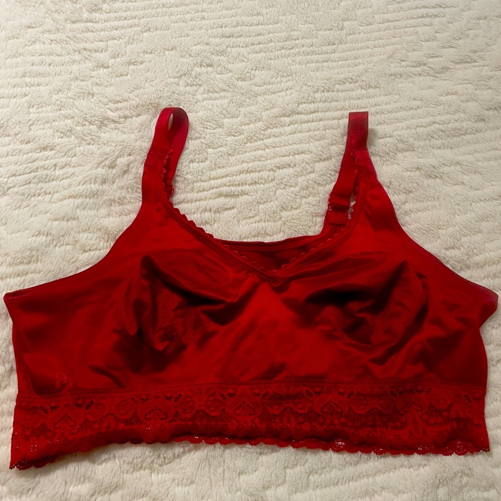 Ruby Ribbon Lace Demiette